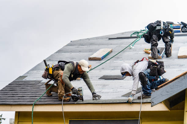 Professional Roofing technician working in Stroh, IN
